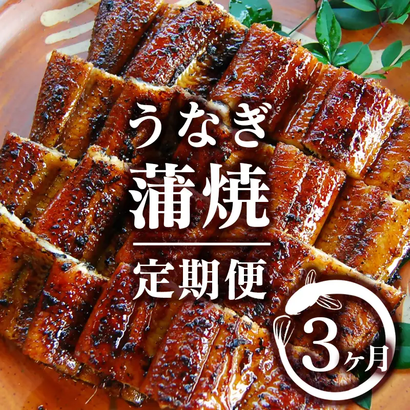 【3ヶ月定期便】（1月～3月お届け）2027年発送 西都市うなぎ名店巡り 入船 本部うなぎ屋 藤うなぎ 国産 蒲焼 かば焼き 鰻 ウナギ＜1-13a＞