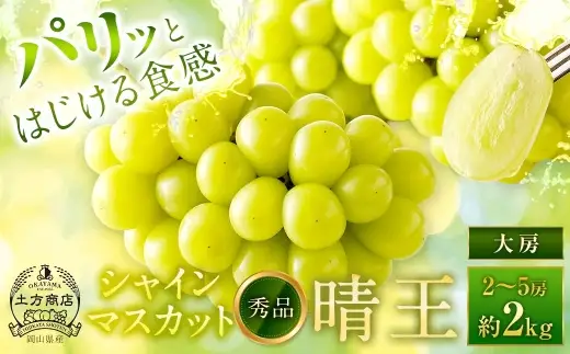 シャインマスカット 晴王 秀品 大房 2 ～ 5房 約2kg ぶどう ブドウ 葡萄 マスカット 果物 くだもの フルーツ 果実 種なし 皮ごと 国産 岡山県産 冷蔵 【 2026年9月上旬から11月下旬迄発送 】