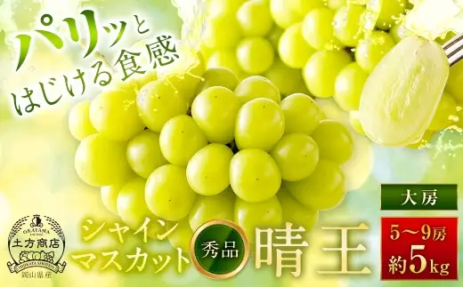 シャインマスカット 晴王 秀品 大房 5 ～ 9房 約5kg ぶどう ブドウ 葡萄 マスカット 果物 くだもの フルーツ 果実 種なし 皮ごと 国産 岡山県産 冷蔵 【 2026年9月上旬から11月下旬迄発送 】