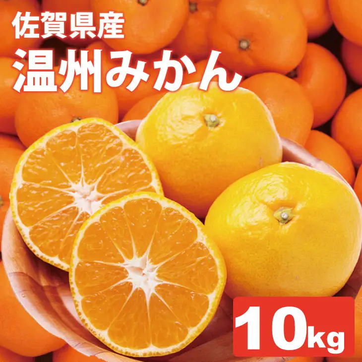 【先行予約】 佐賀県産 みかん（10kg）　潮風ファーム 大津 柑橘 温州みかん  C230-016