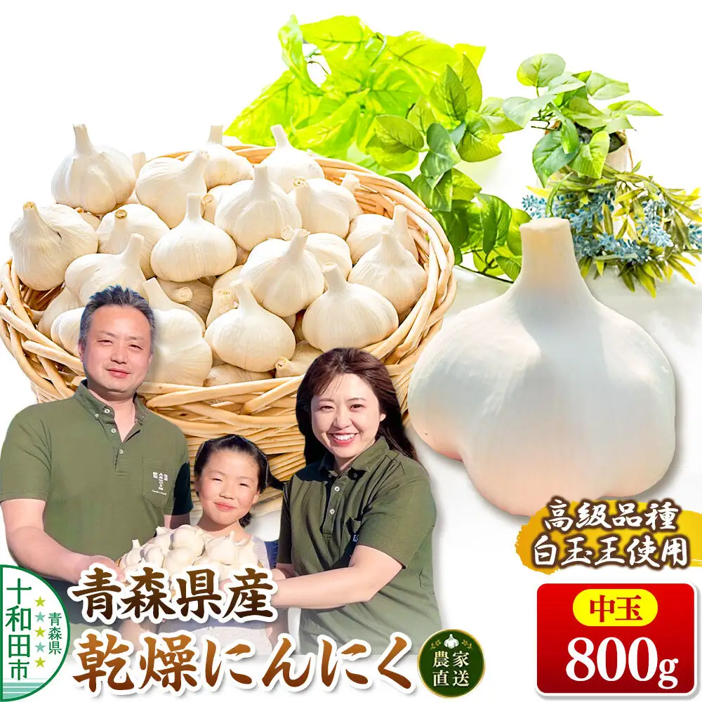 青森にんにく 乾燥にんにく 農家直送 中玉800g 高級品種白玉王使用 青森にんにくファーム