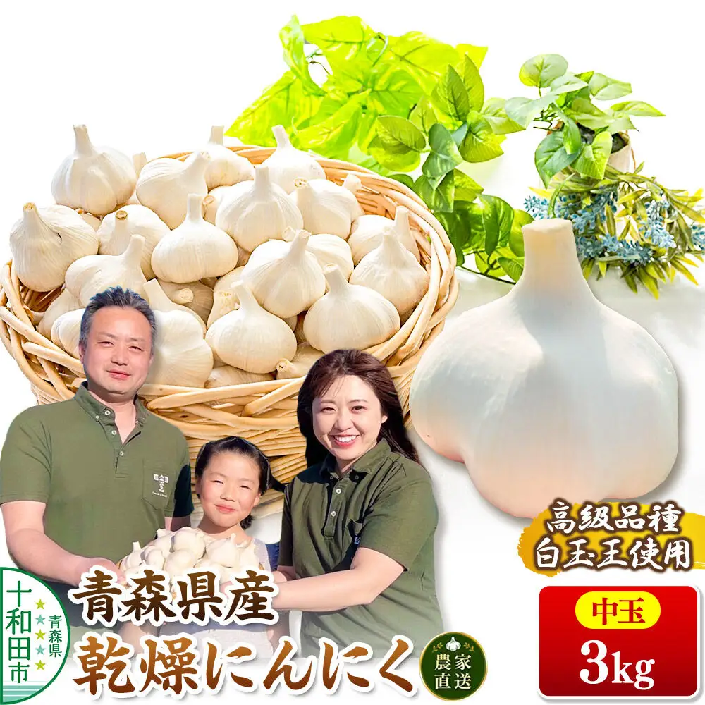 青森にんにく 乾燥にんにく 農家直送 中玉3kg 高級品種白玉王使用 青森にんにくファーム