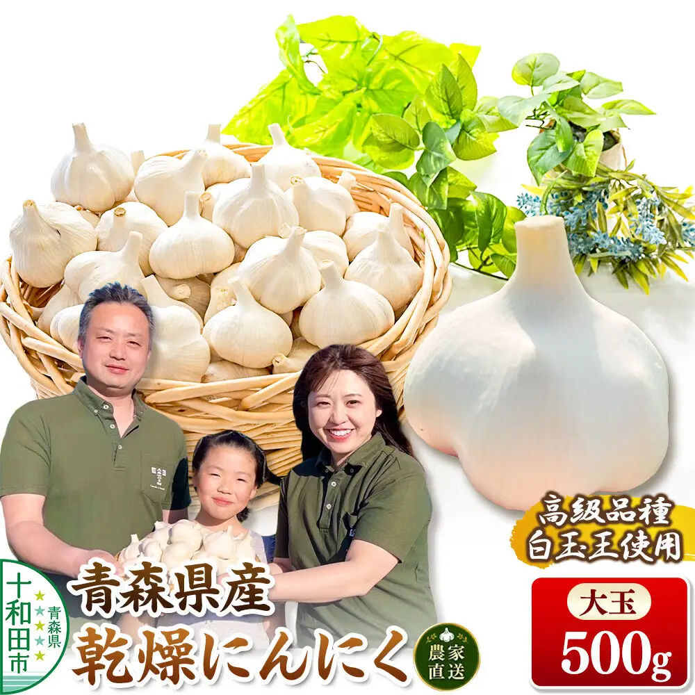 青森にんにく 乾燥にんにく 農家直送 大玉500g 高級品種白玉王使用 青森にんにくファーム