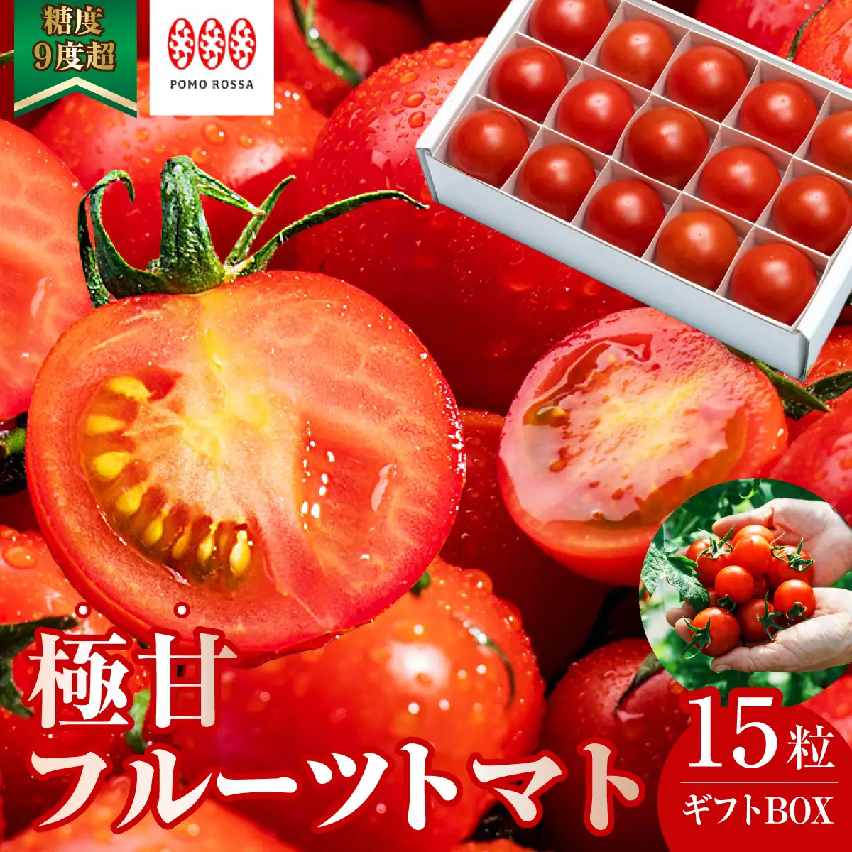【12月から順次発送予定】フルーツトマト 糖度9度～11度 15粒 化粧箱入り ポモ・ロッサ 先行予約