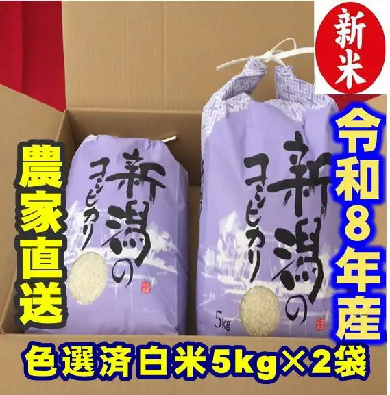 【令和8年産新米】 新潟県産 「従来こしひかり」 白米 10kg（5kg×2袋） 阿賀野市産 中島農場 精米 新潟県 米 こめ コメ お米 ごはん ご飯 農家直送 色彩選別済 新米  令和8年産  3R17032