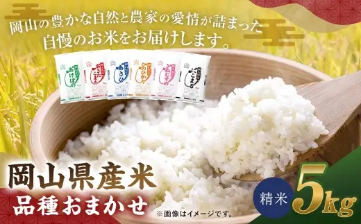 【 令和8年産 】 岡山県産米 品種おまかせ 5kg × 1袋 お米 米 こめ コメ 白米 精米 白飯 飯 ご飯 きぬむすめ あきたこまち ひのひかり あけぼの にこまる あさひ おにぎり 和食 国産 ブランド米 ブランド 【 2026年11月上旬から2027年8月下旬迄発送予定 】