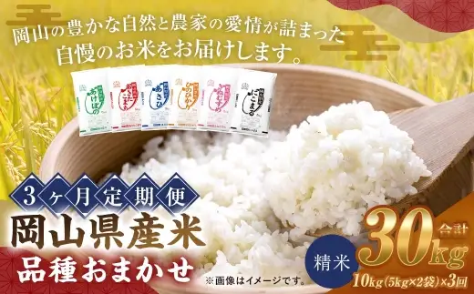 産米 品種おまかせ 10kg