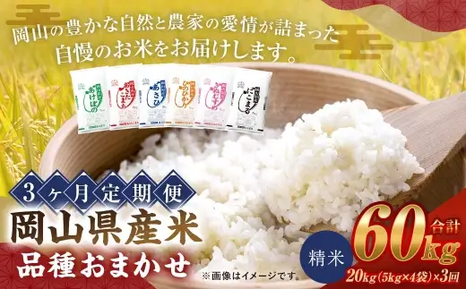 産米 品種おまかせ 20kg