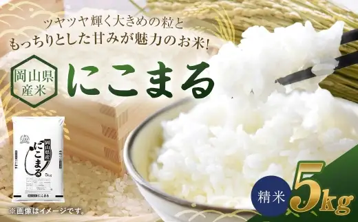 【 令和8年産 】 岡山県産米 にこまる 5kg （ 5kg × 1袋 ） お米 米 こめ コメ 白米 精米 白飯 飯 ご飯 おにぎり 和食 国産 【 2026年11月上旬から2027年8月下旬迄発送予定 】