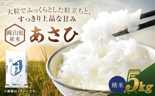 【 令和8年産 】 岡山県産米 あさひ 5kg （ 5kg × 1袋 ） お米 米 こめ コメ 白米 精米 白飯 飯 ご飯 おにぎり 和食 国産 【 2026年11月上旬から2027年8月下旬迄発送予定 】
