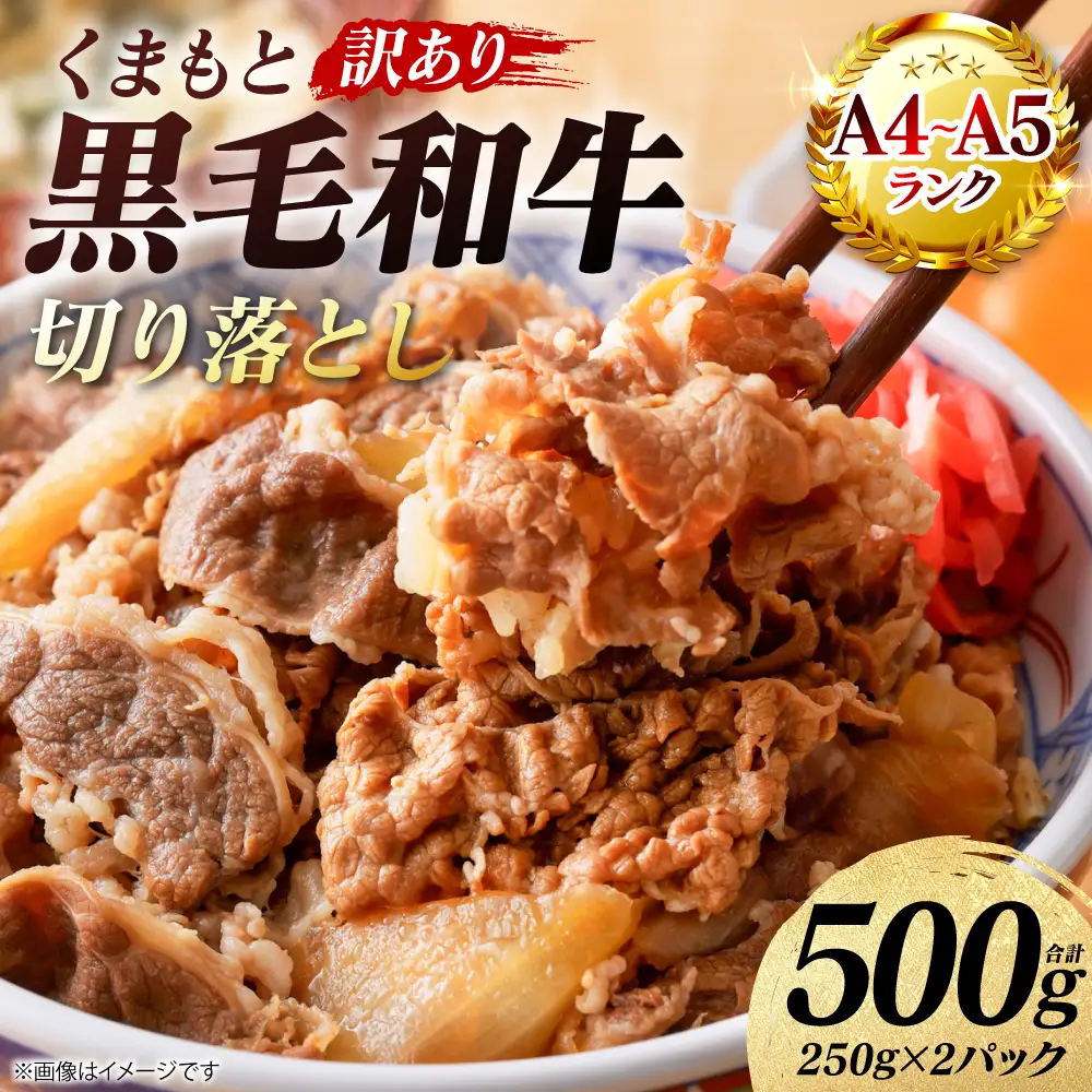 牛肉 【訳あり】 くまもと黒毛和牛 切り落とし 500g （250g×2パック） A4～A5ランク 牛肉