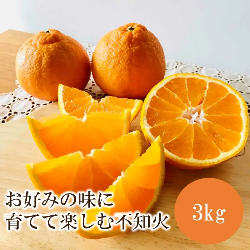お好みの味に育てて楽しむ不知火3kg＜先行予約2027年2月発送開始分＞【1359】