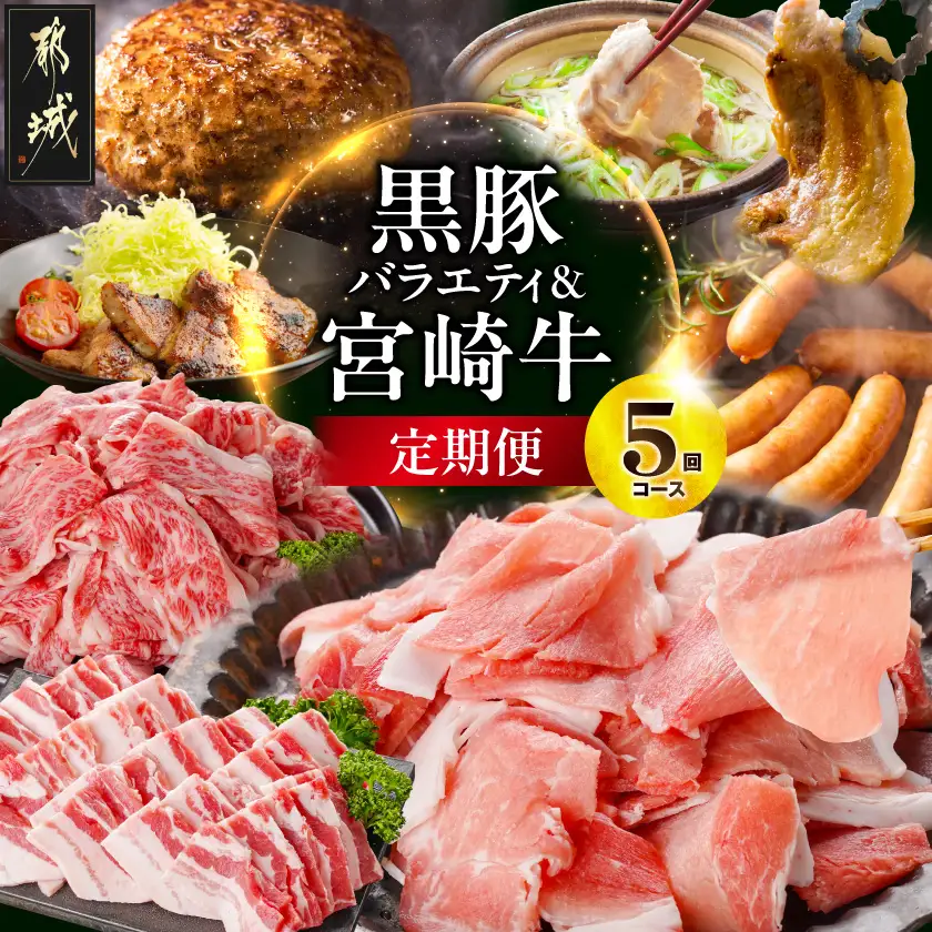 【5回定期便】選んで損なし!黒豚バラエティ&宮崎牛定期便〔N4-012-T5〕_(都城市)