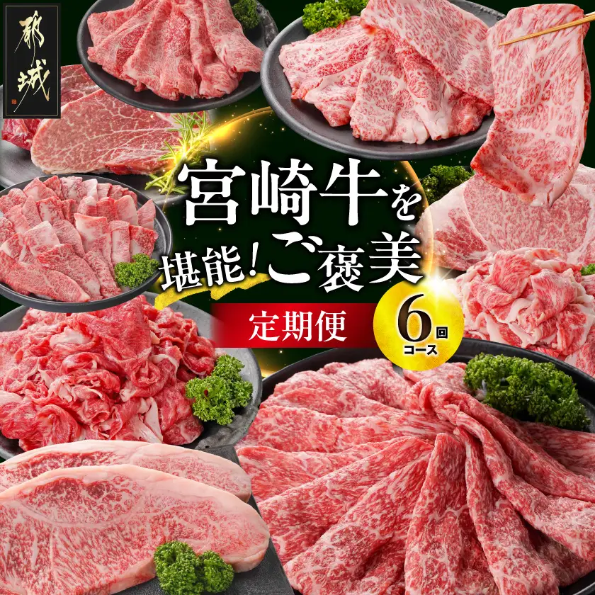 【6回定期便】宮崎牛を堪能「ご褒美」定期便〔N4-014-T6〕_(都城市)
