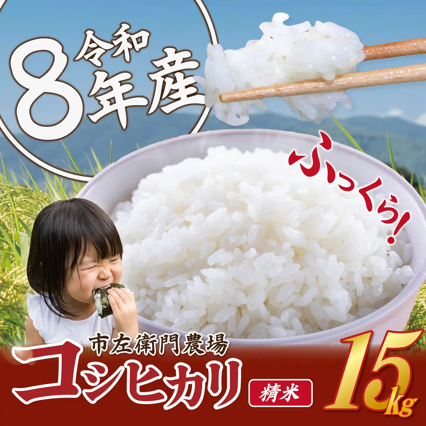 米 令和8年産 コシヒカリ 15kg 精米 こしひかり