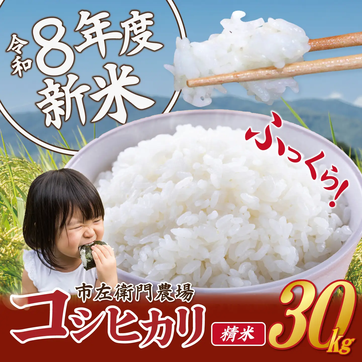 米 令和8年産 コシヒカリ 30kg 精米 こしひかり