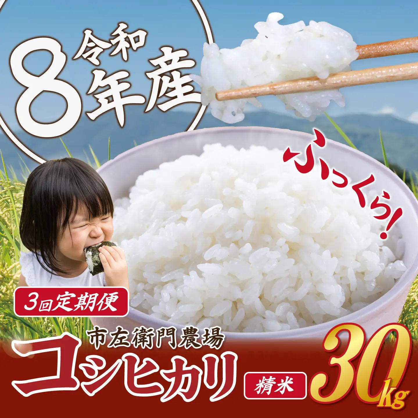 【 3ヵ月 定期便 】 米 令和8年産 コシヒカリ 30kg 精米 こしひかり