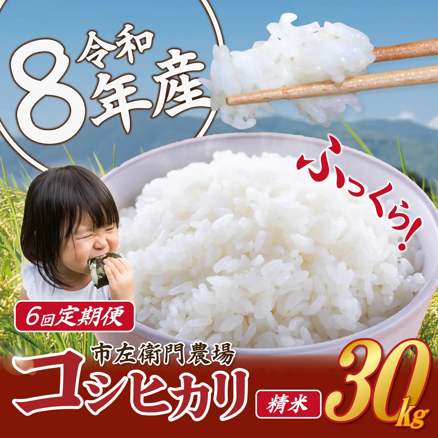 【 6ヵ月 定期便 】 米 令和8年産 コシヒカリ 30kg 精米 こしひかり