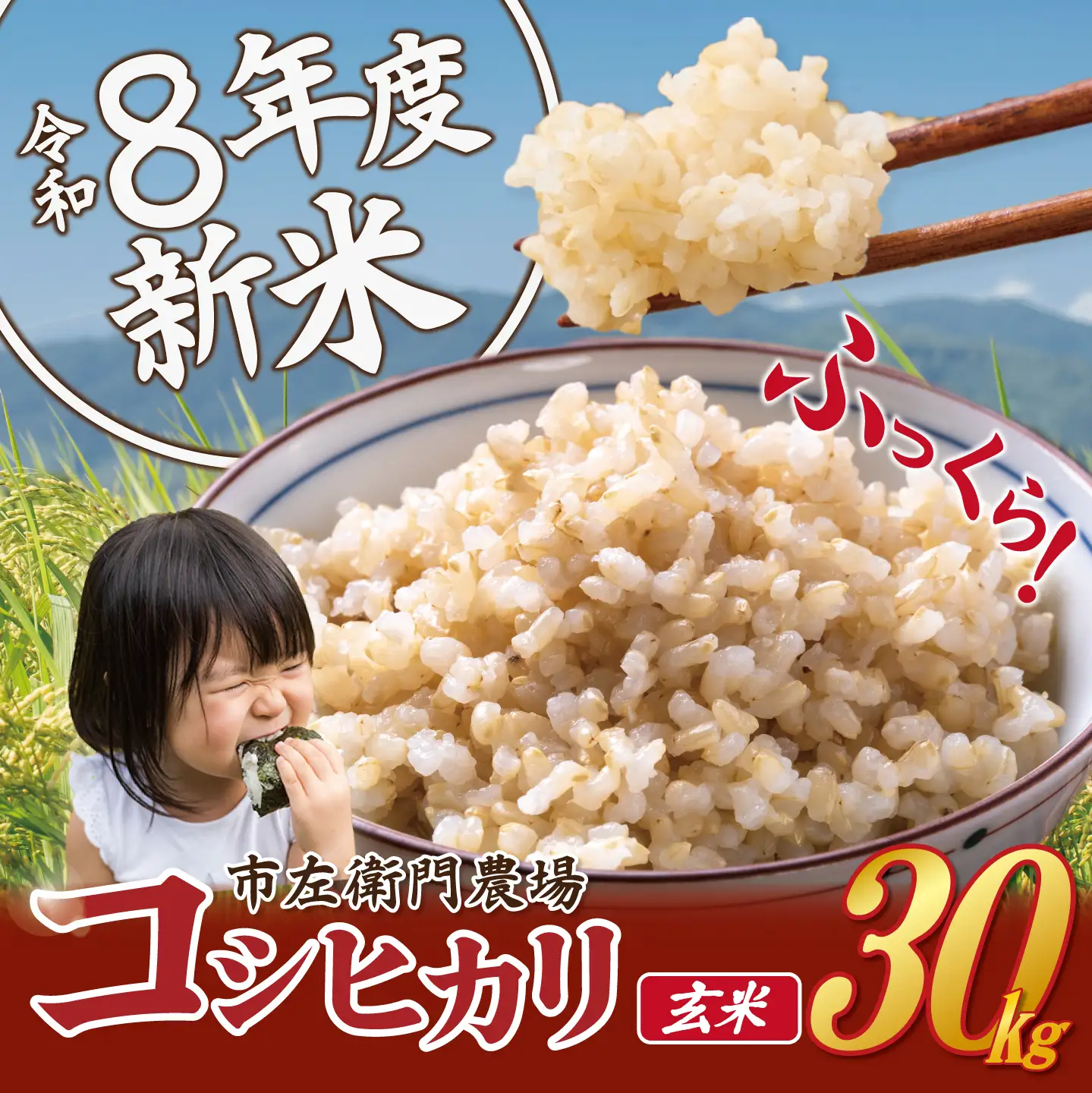 米 令和8年産 コシヒカリ 30kg 玄米 こしひかり
