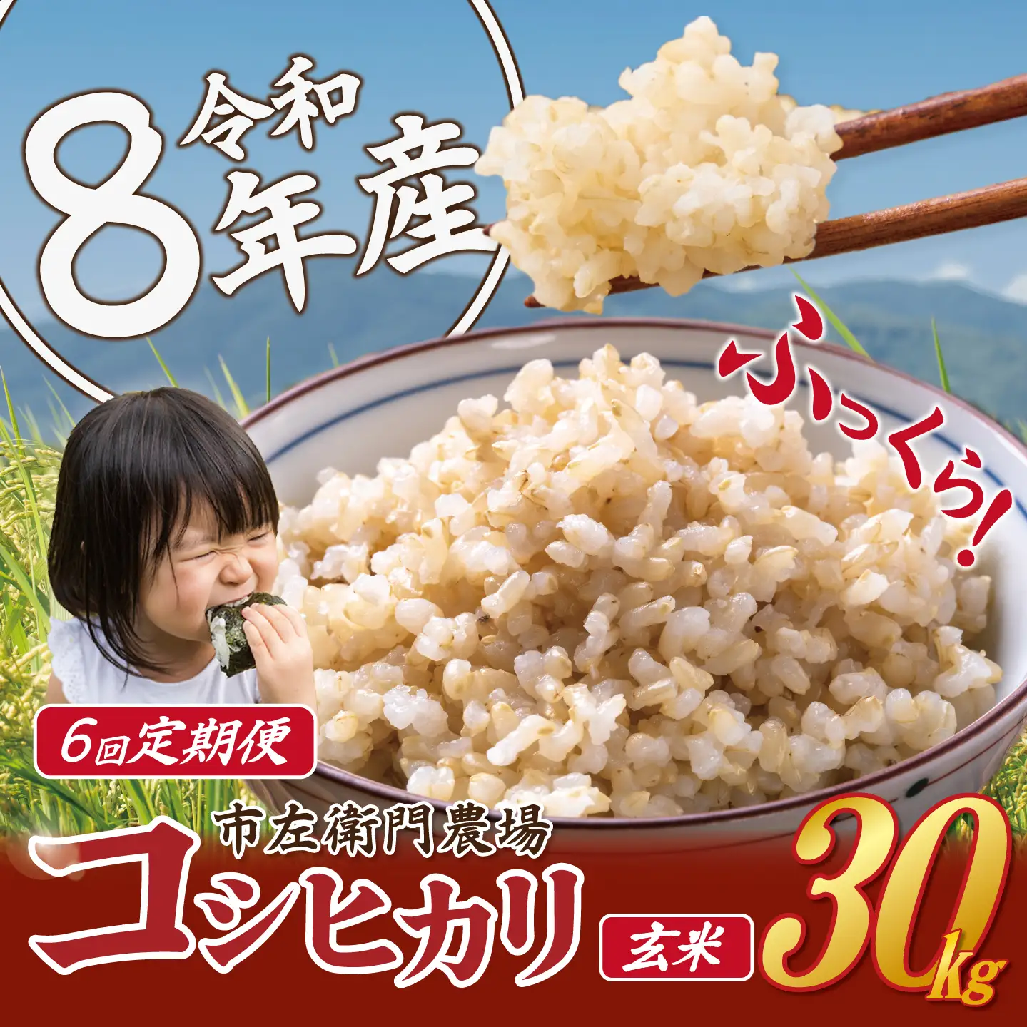 【 6ヵ月 定期便 】米 令和8年産 コシヒカリ30kg 玄米 こしひかり