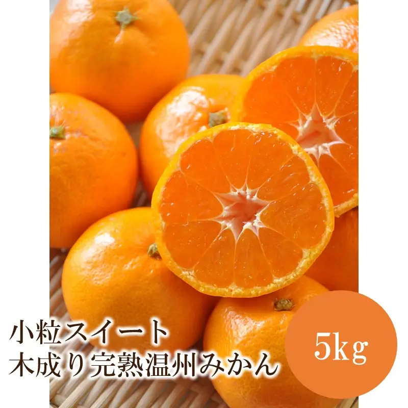 小粒スイート 木成り完熟温州みかん5kg≪先行予約≫2026年12月より順次発送予定【1361】