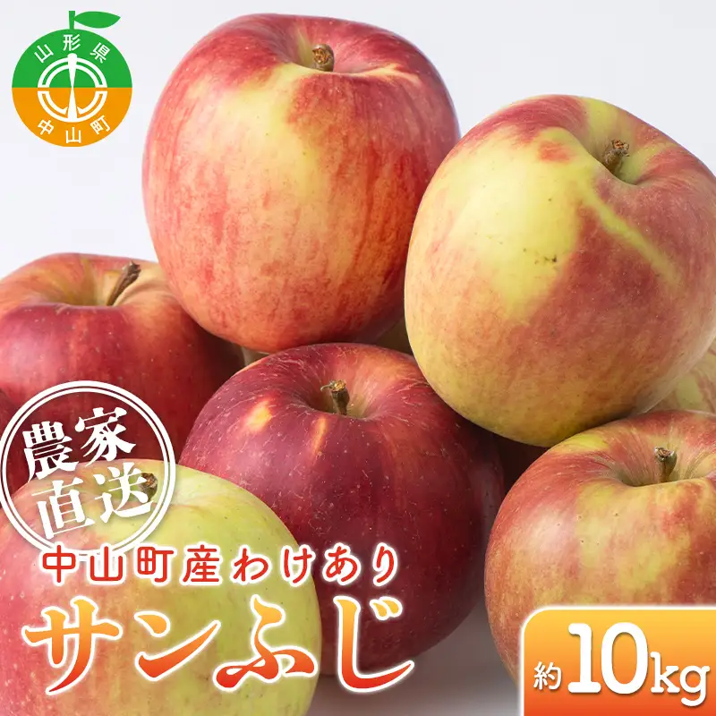 農家直送 令和8年度産 中山町産 わけあり「サンふじ」約10kg りんご リンゴ 林檎 デザート フルーツ 果物 くだもの 果実 食品 中山町 山形県 F4A-1056