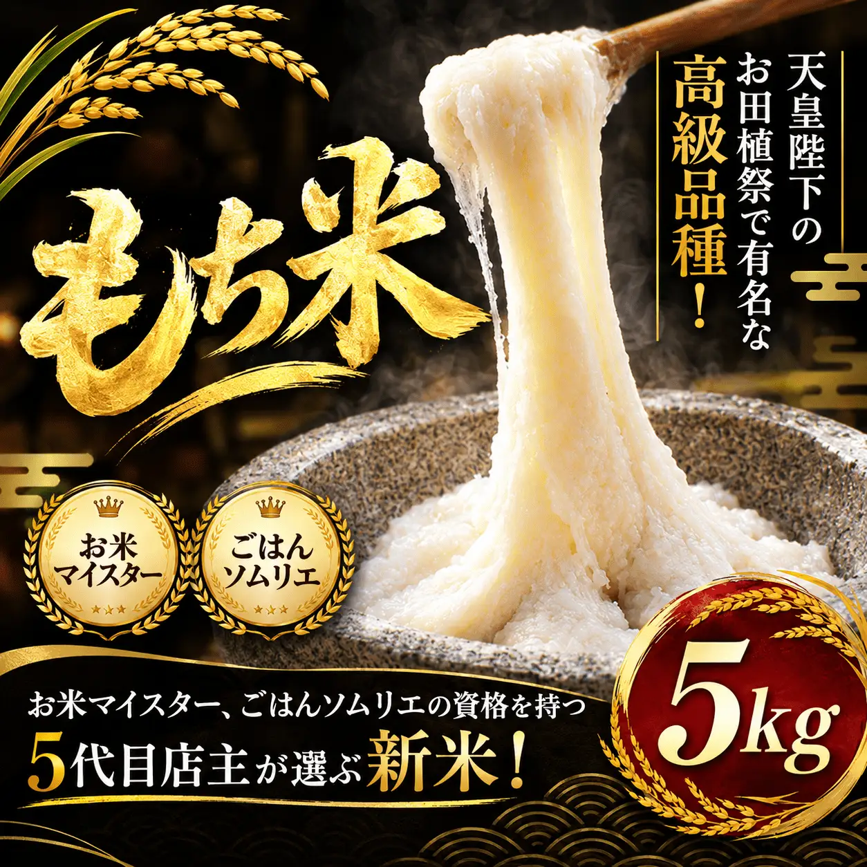 もち米 5kg 新米 高級品種 もち米
