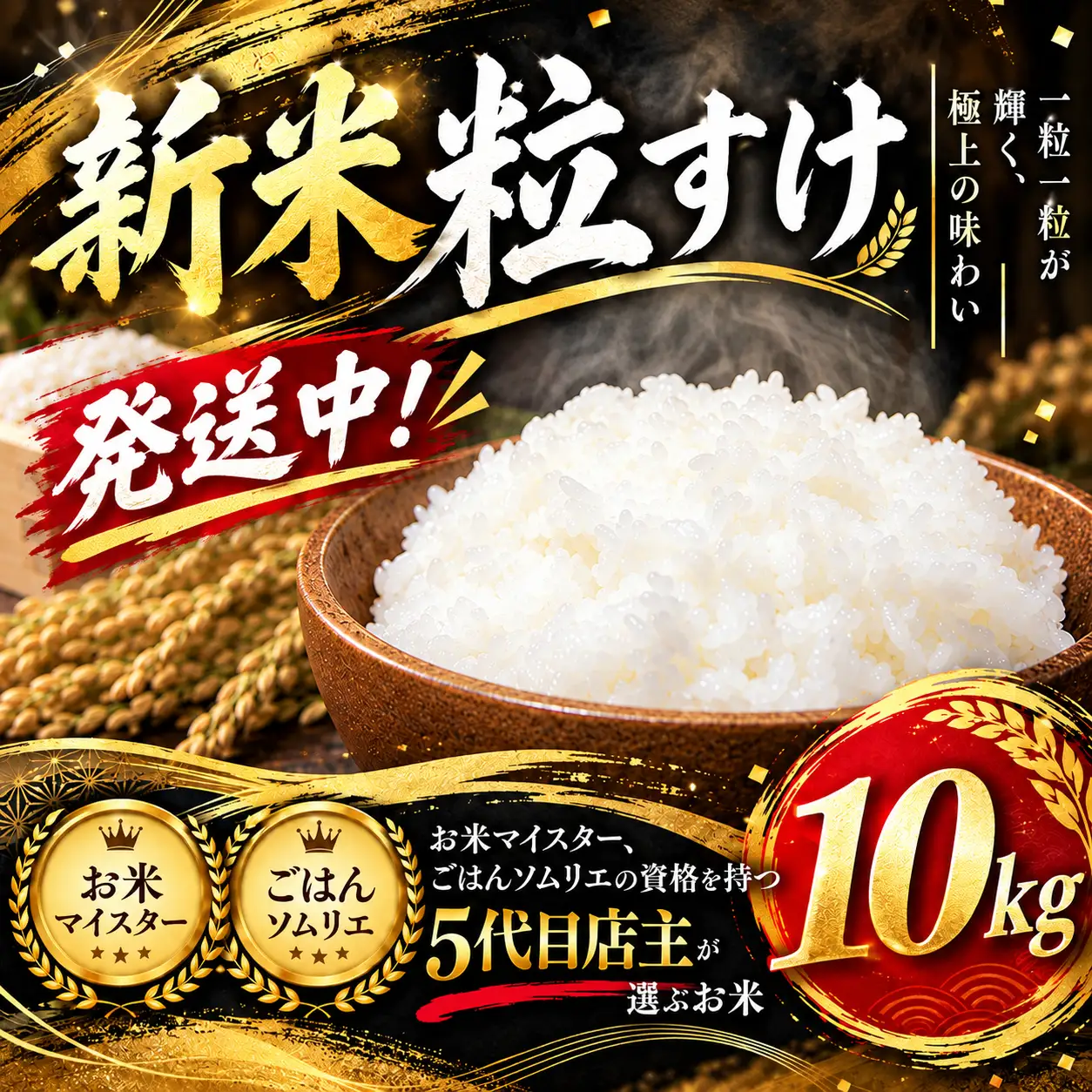 新米 粒すけ 10kg 令和8年産 新米