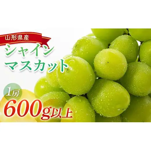【令和9年産先行予約】 シャインマスカット 600g以上 (1房 秀) 《令和9年9月頃～発送》 『南陽中央青果市場』 マスカット ぶどう 果物 フルーツ デザート 山形県 南陽市 [1206-R9]