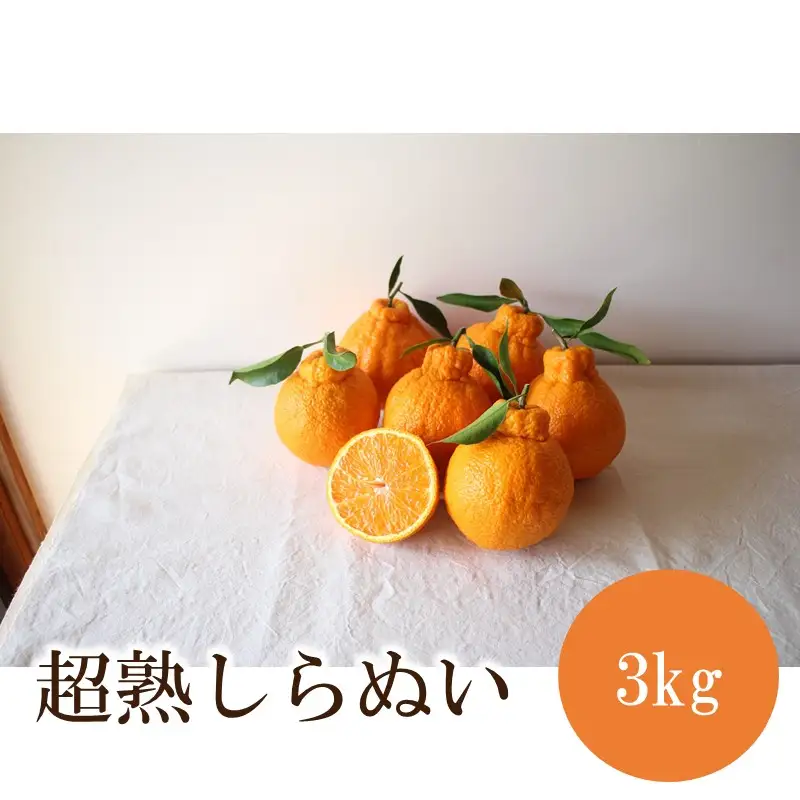 超熟しらぬい 3kg＜先行予約2027年3月発送開始分＞【1365】