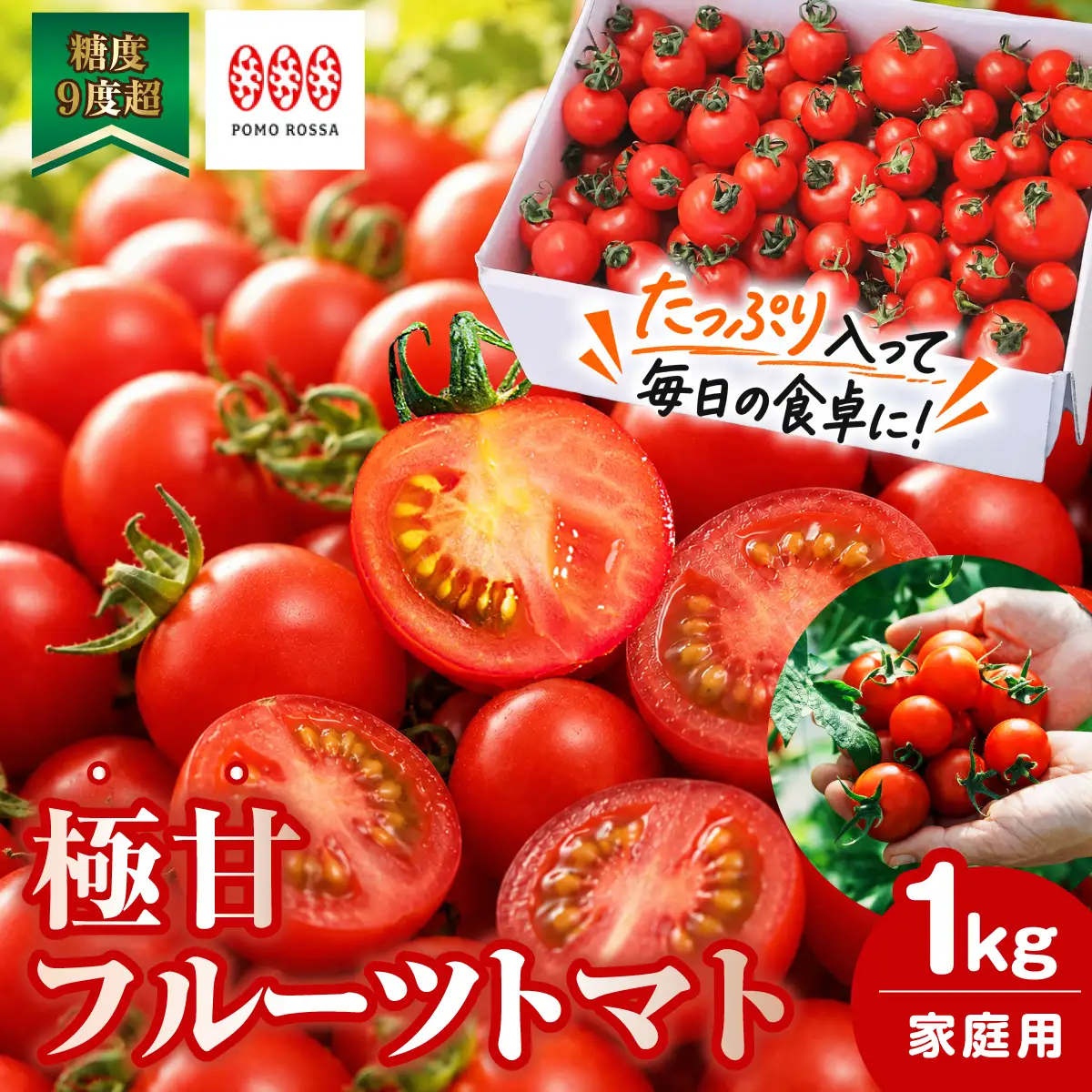 【12月から順次発送予定】濃厚フルーツトマト 1kg 糖度9度～11度  ポモ・ロッサ 陽だまりセレクション 先行予約