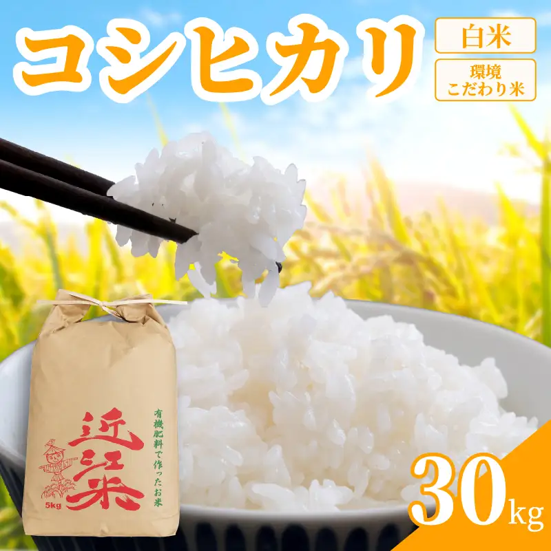 【 令和8年産 】 新米 コシヒカリ 30kg 白米 米 R8 年産 こしひかり 2026年産 国産 農家直送 環境こだわり お試し用 単品 小分け 単品 お米 こめ おこめ ライス コメ 精米 おいしい 産地直送 人気 おすすめ 30キロ kome okome 2026年産 送料無料 滋賀県 日野町 育農舎 [IN013_R8]