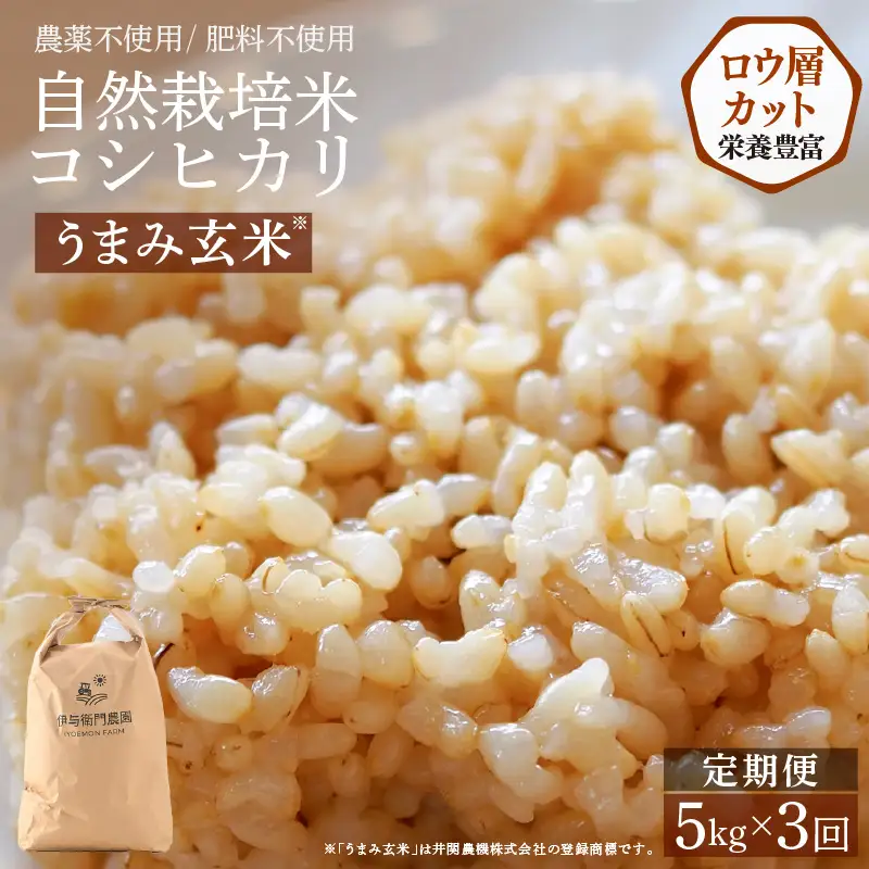 【先行予約】【令和8年産】定期便 ≪3ヶ月連続お届け≫ 自然栽培米コシヒカリ うまみ玄米5kg×3回（計15kg） 化学肥料不使用  ＜温度と湿度を常時管理し新鮮米を出荷！＞／ 高品質 鮮度抜群 福井県あわら産 ブランド米 お米 ※2026年10月下旬以降順次発送 [aw071-g004]