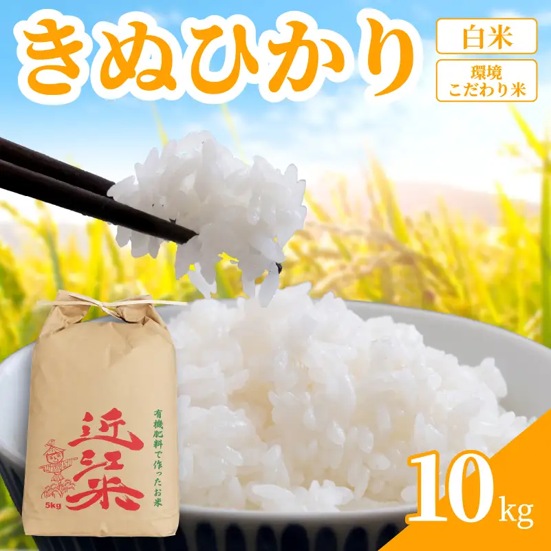 【 新米予約 】 新米 令和8年産 きぬひかり 10kg 白米 米 R8 年産 キヌヒカリ 2026年産 国産 農家直送 環境こだわり お試し用 単品 小分け 単品 お米 こめ おこめ ライス コメ 精米 おいしい 産地直送 人気 おすすめ 10キロ kome okome 2026年産 送料無料 滋賀県 日野町 育農舎 [IN041_R8]