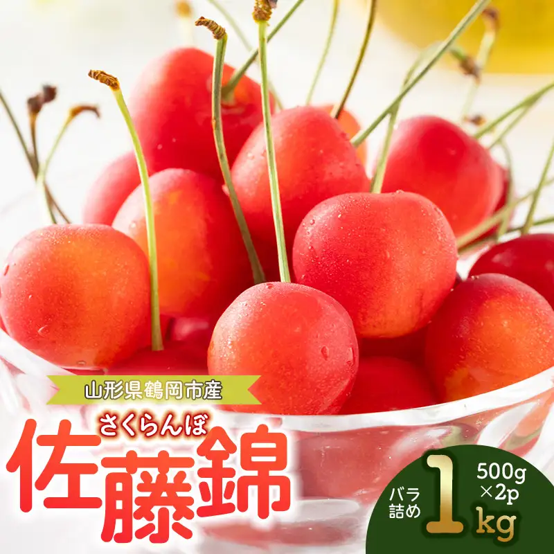 【令和9年産】 さくらんぼ 佐藤錦 バラ詰め 1kg（500g×2パック） 山形県鶴岡産 くにちゃん農園 K-966