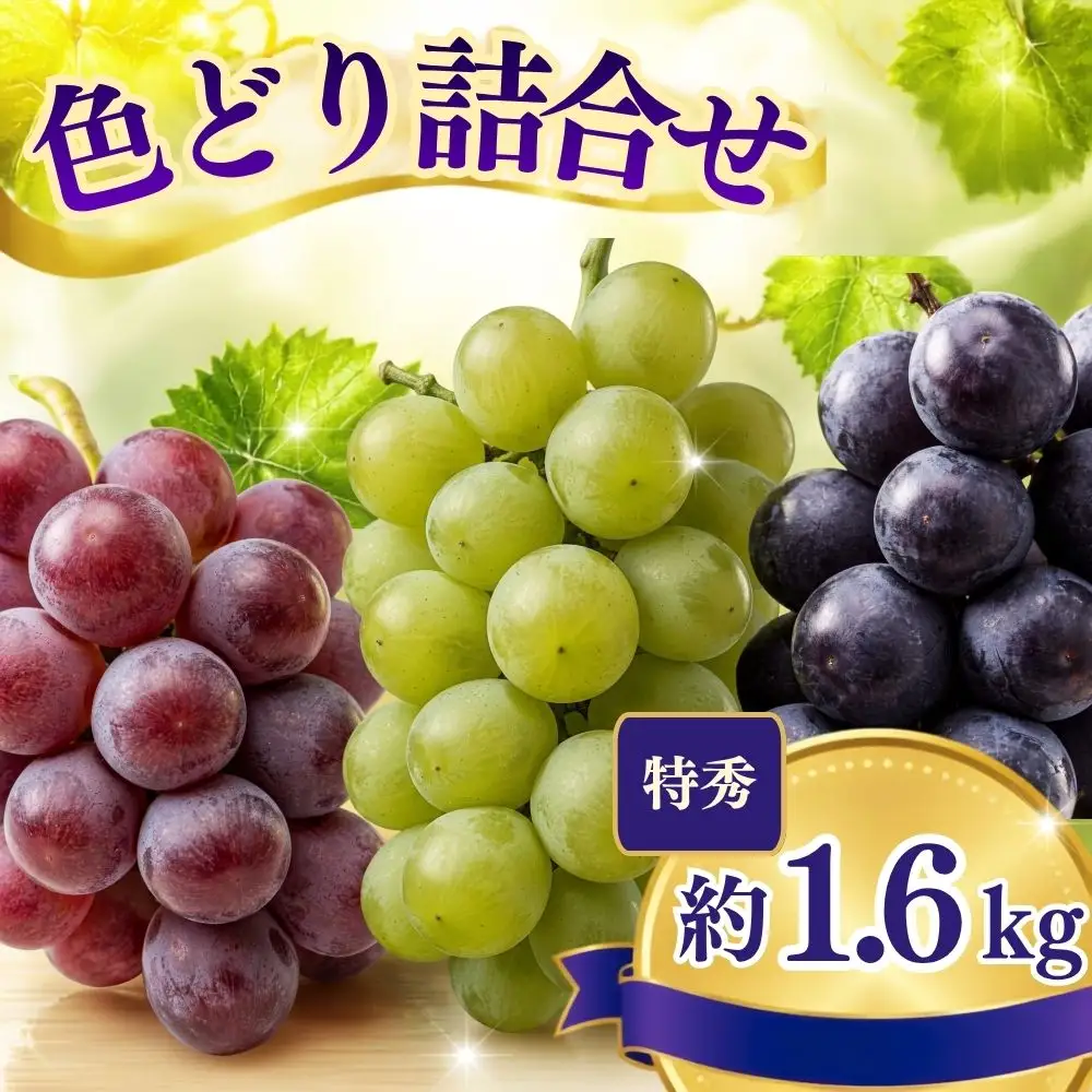 おまかせ ぶどう 詰め合わせ 3種 ～ 4種 食べ比べ セット 約 1.6kg 特