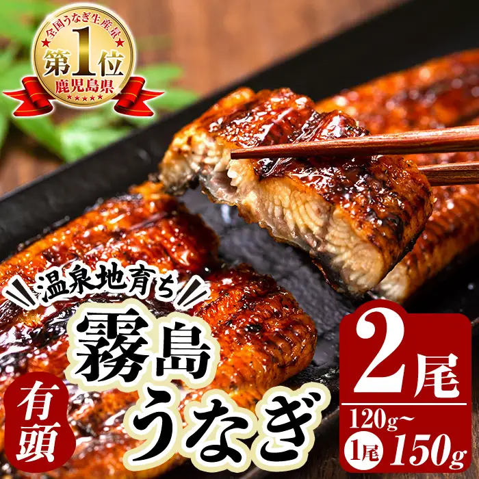 K-763 霧島うなぎ蒲焼き120～150g×2尾【田代水産】霧島市 鰻 ウナギ 蒲焼き 蒲焼 国産