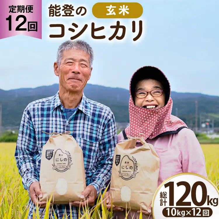 コシヒカリ 玄米 10kg 12回 定期便