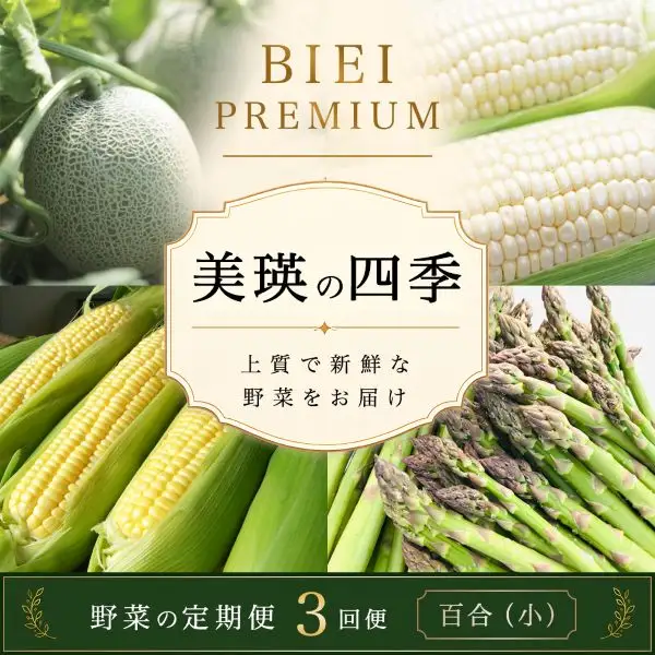 野菜 定期便 3回 【令和9年産予約受付】 美瑛の四季 百合（小） ふるなび限定 野菜 セット