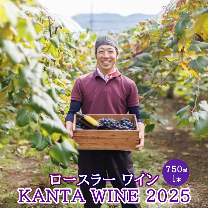 ロースラー ワイン KANTA WINE 2025（赤） 750ml×1本 【2389】