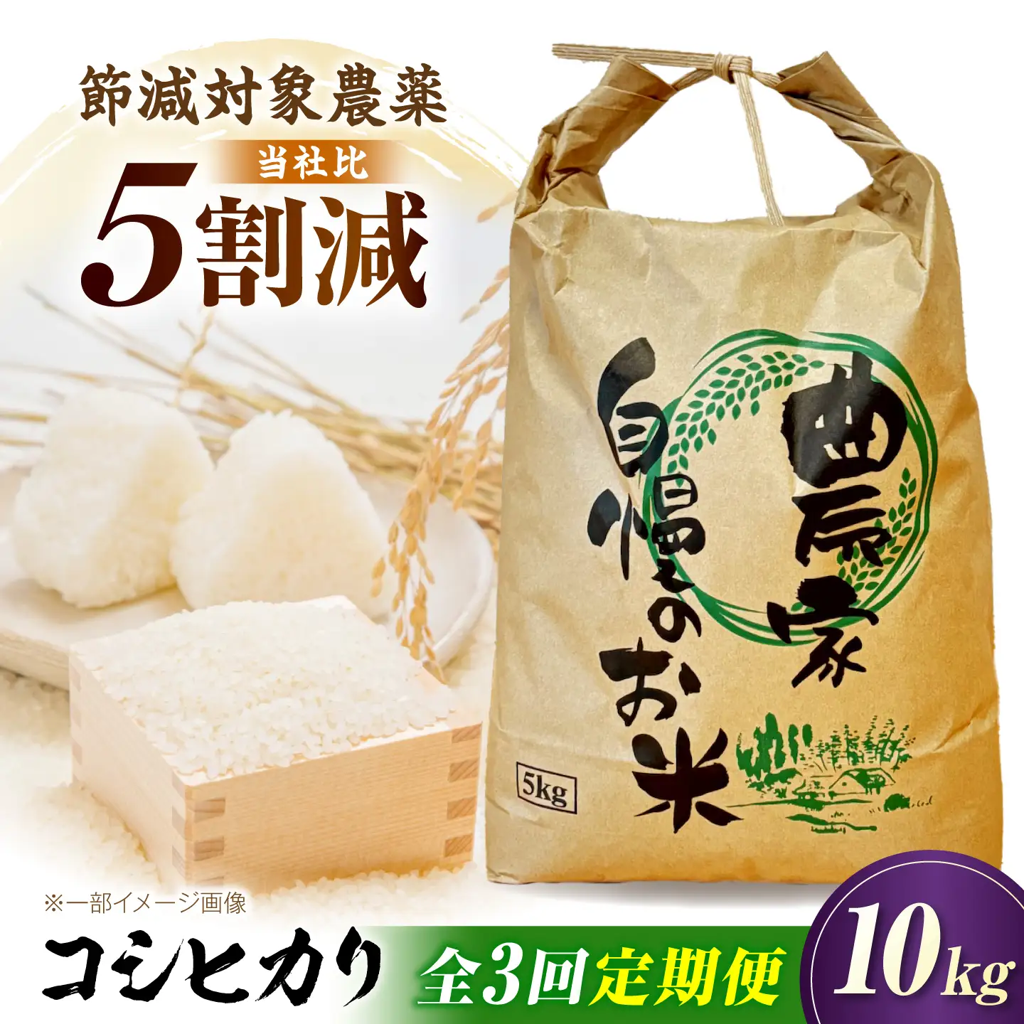 【全3回定期便】コシヒカリ 10kg 滋賀県長浜市/狩野農園[AQDK006]