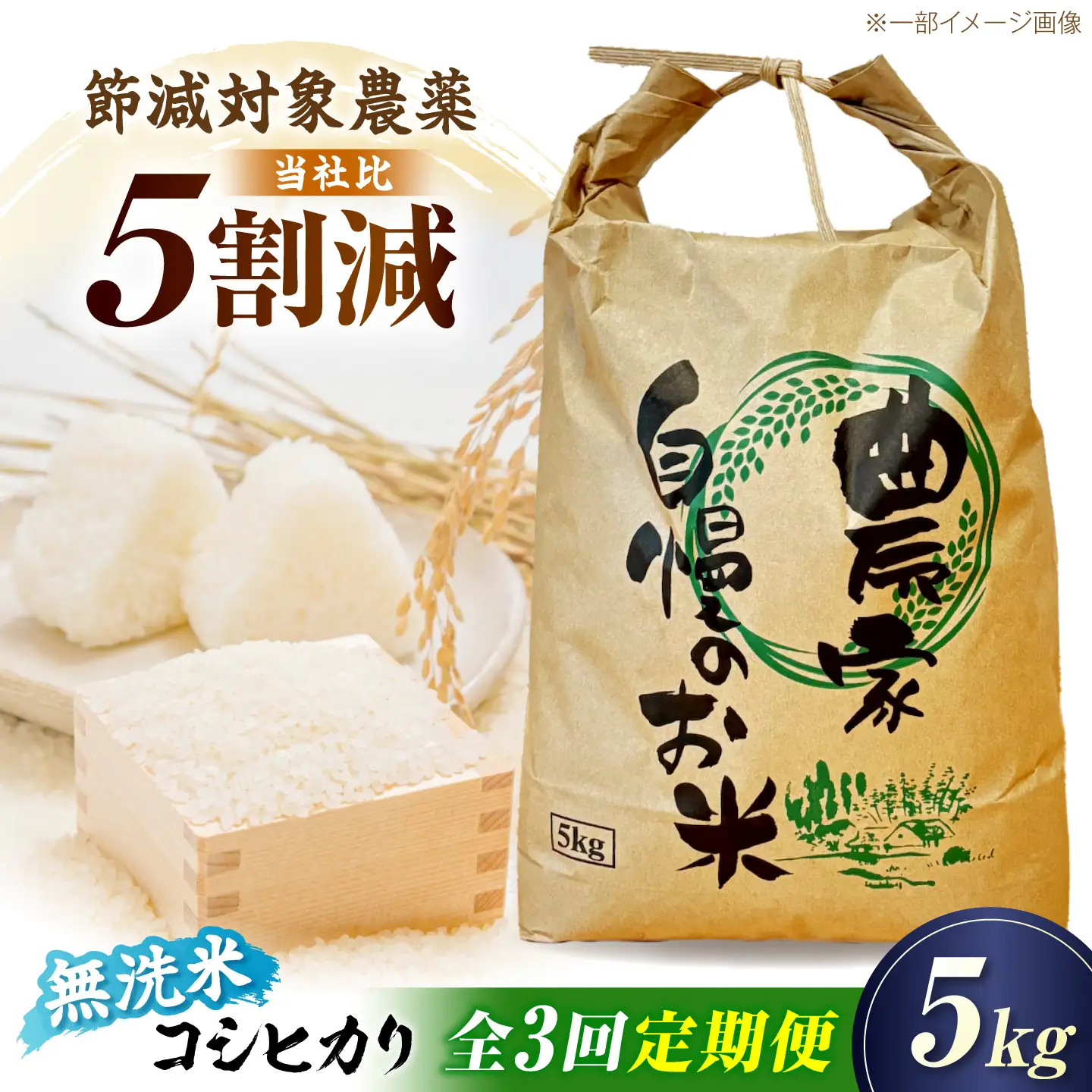 【令和8年産】【3ヶ月5kg定期便】無洗米 コシヒカリ[AQDK007] 無洗