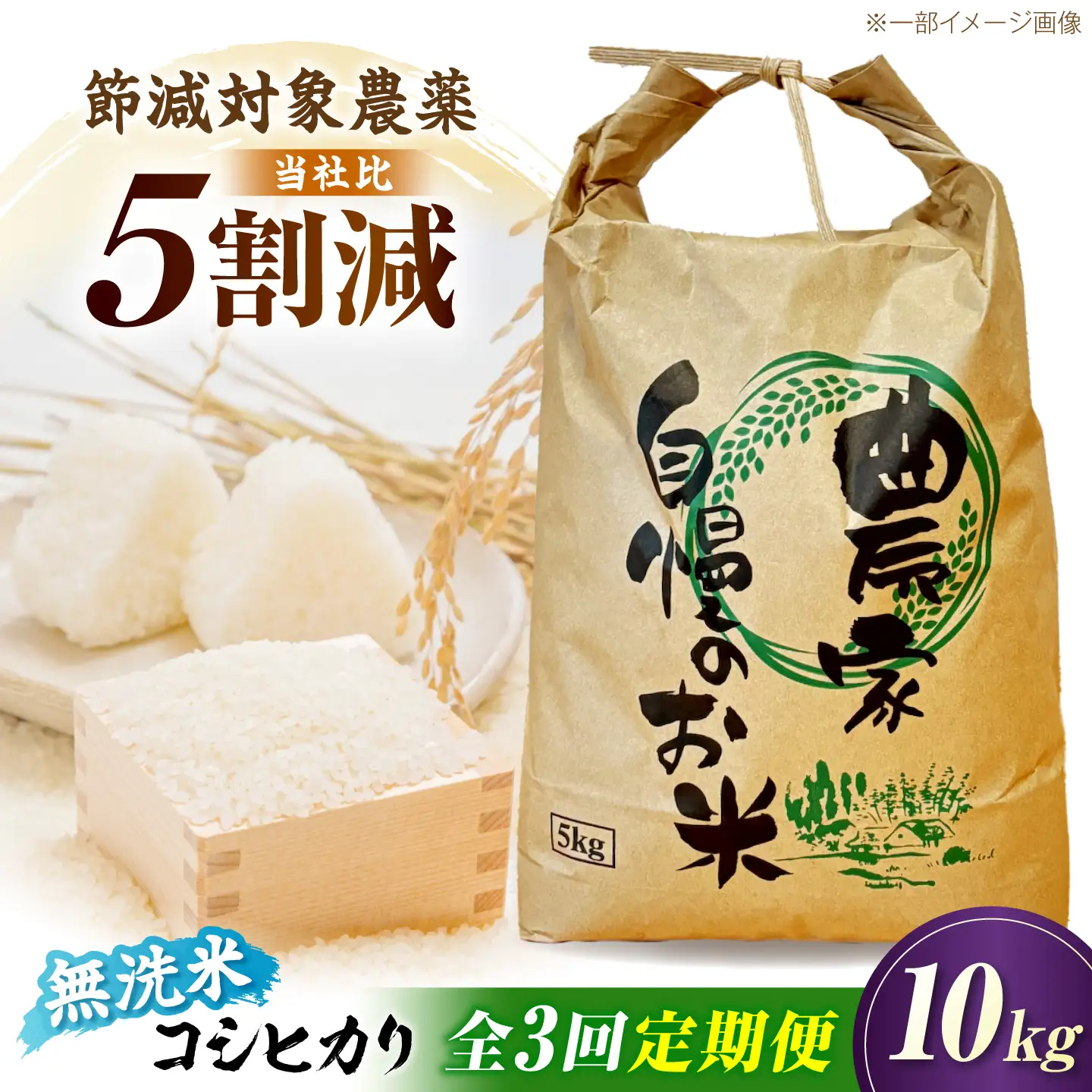 《令和8年産》【3ヶ月10kg定期便】無洗米 コシヒカリ 無洗 [AQDK008]【狩野農園】