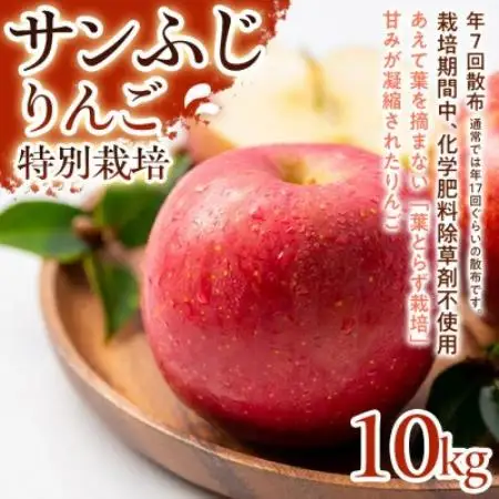 【濃厚な甘みとしっかり食感】サンふじ 10kg 1セット【1779786】