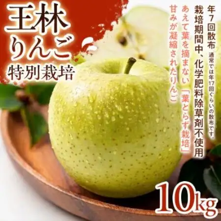 【芳醇な香りとやさしい甘み】王林(おうりん) 10kg 1セット【1779832】