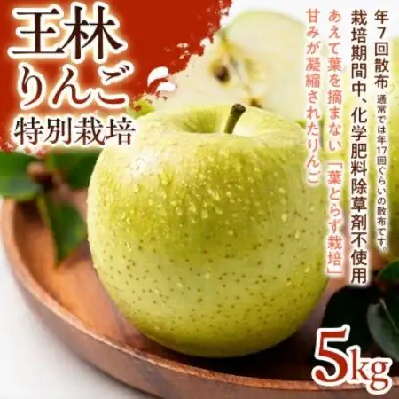 【芳醇な香りとやさしい甘み】王林(おうりん) 5kg 1セット【1779837】
