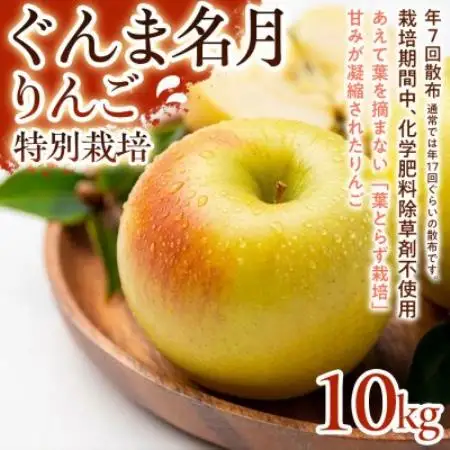 【甘みの強い黄色りんご】ぐんま名月 10kg 1セット【1779853】