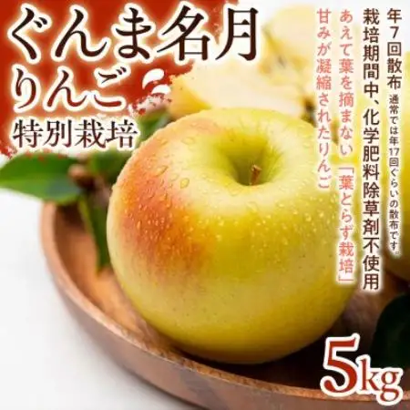 【甘みの強い黄色りんご】ぐんま名月 5kg 1セット【1779910】