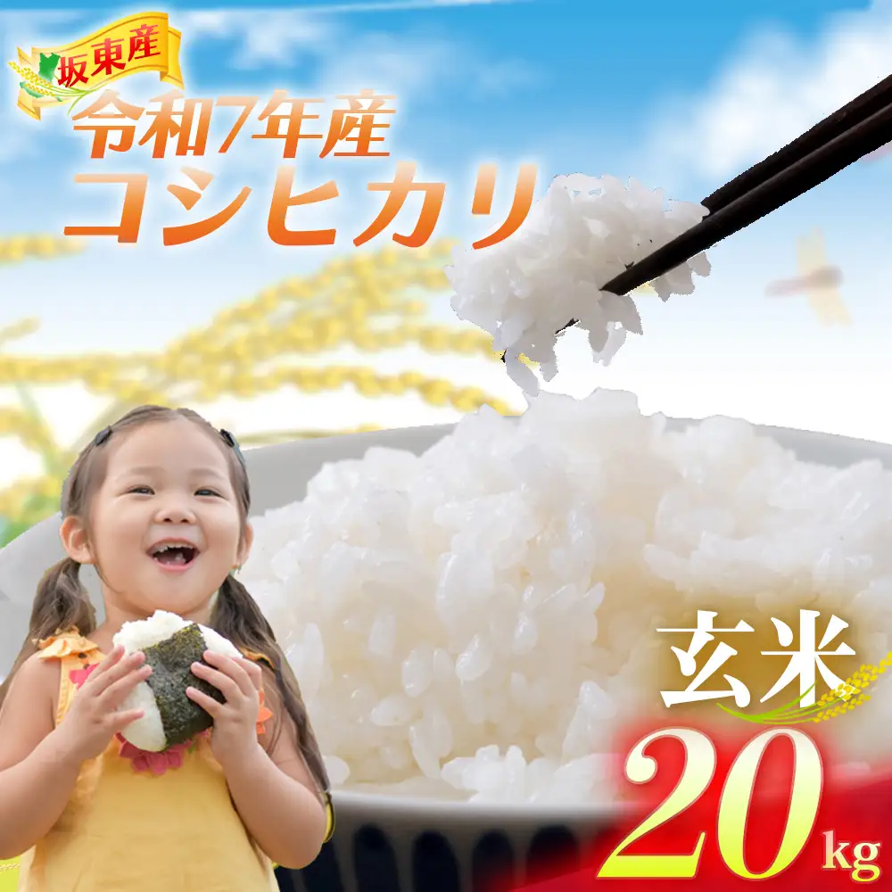 令和7年茨城県産コシヒカリ20kg 玄米 令和7年産】茨城県坂東産 コシヒカリ20kg（玄米） ／ コシヒカリ