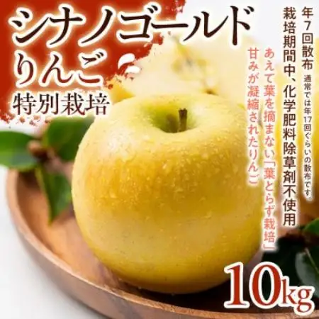【シャキシャキ食感と爽やかな甘み】シナノゴールド 10kg 1セット【1779914】